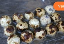 როგორ ვისწავლოთ მწყერის კვერცხის სწორი მოხარშვა,რომ შევუნარჩუნოთ სასარგებლო თვისებები.