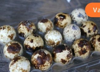 როგორ ვისწავლოთ მწყერის კვერცხის სწორი მოხარშვა,რომ შევუნარჩუნოთ სასარგებლო თვისებები.