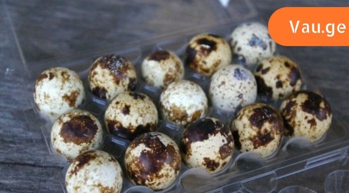 როგორ ვისწავლოთ მწყერის კვერცხის სწორი მოხარშვა,რომ შევუნარჩუნოთ სასარგებლო თვისებები.