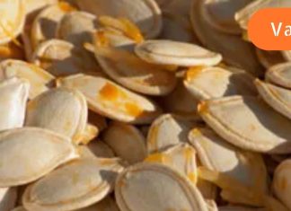 ძნელია, არა, შეუძლებელია ამ შესანიშნავი თესლის ყველა სასარგებლო თვისების ჩამოთვლა …