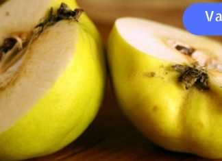 ვიტამინის ბომბი: მთელი ყურადღება მხოლოდ მასზეა მიპყრობილი! კომშის თვისებები, რომლის შესახებაც არ იცოდით.