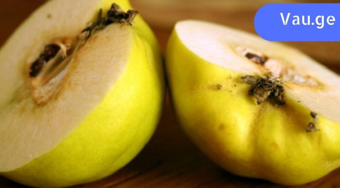 ვიტამინის ბომბი: მთელი ყურადღება მხოლოდ მასზეა მიპყრობილი! კომშის თვისებები, რომლის შესახებაც არ იცოდით.