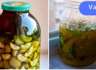 სამეფო კაკალი დაიცავს ყველა დაავადებისგან! იოდის დეფიციტის და ჰიპოთირეოზის ბუნებრივი ხსნარი.