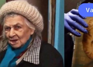 არასოდეს დასცინოთ ესეთ მოხუცებს,ეს ყველამ უნდა გავითვალისწინოთ, დიოგენეს სინდრომი – დაავადება, რომელიც თავს ესხმის მოხუცებს!