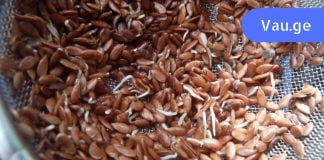 ექიმები ამაზე არ საუბრობენ ! ეს 8 საკვები ნებისმიერ წამალზე უკეთ ასუფთავებს ორგანიზმს.