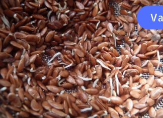 ექიმები ამაზე არ საუბრობენ ! ეს 8 საკვები ნებისმიერ წამალზე უკეთ ასუფთავებს ორგანიზმს.