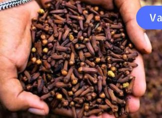 ნუ ხედავთ მიხაკს, როგორც მხოლოდ სამზარეულოს ინგრედიენტს. აი, რისთვის შეიძლება მისი გამოყენება!