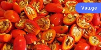 საბჭოთა მეთოდი, რომელიც მხედველობას 7 დღეში აღადგენს!