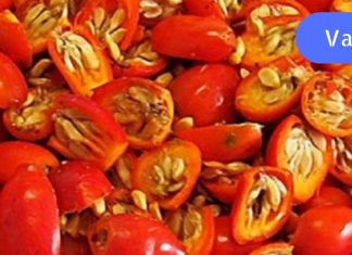 საბჭოთა მეთოდი, რომელიც მხედველობას 7 დღეში აღადგენს!