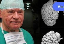 ნევროლოგები აფრთხილებენ! ყველა ქალმა უნდა გაითვალისწინოს ეს რჩევა…