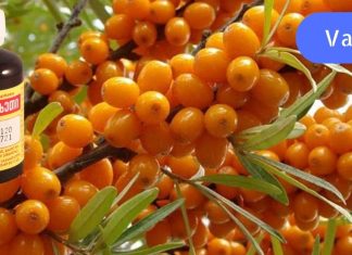 ამ ზეთის ზუსტად 5 წვეთი გაასწორებს ნაოჭებს, მოაცილებს ლაქებს, შეშუპებას და მუქ წრეებს თვალების ქვეშ!