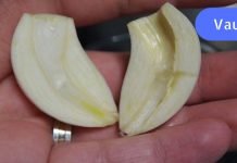 ნიორი დავჭერი და ბირთვი ამოვიღე. როცა გაიგებ რატომაც, შენც ასე მოიქცევი!