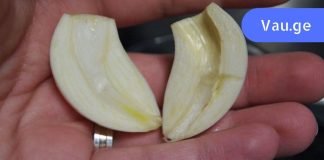 ნიორი დავჭერი და ბირთვი ამოვიღე. როცა გაიგებ რატომაც, შენც ასე მოიქცევი!