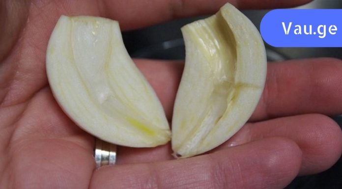 ნიორი დავჭერი და ბირთვი ამოვიღე. როცა გაიგებ რატომაც, შენც ასე მოიქცევი!