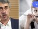 არ დაუშვათ ეს შეცდომა ბავშვის ხველის მკურნალობისას! დოქტორი კომაროვსკი მკაცრად გირჩევთ.