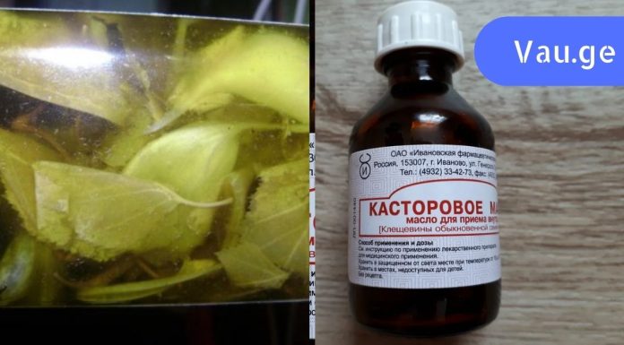 ეს პროდუქტი აუცილებლად უნდა იყოს აბაზანის თაროზე! თმა, წამწამები, წარბები.