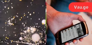 შოკისმომგვრელი სიმართლე იმის შესახებ, თუ რამდენ მიკრობს აგროვებს მობილური ტელეფონი!