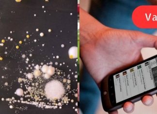 შოკისმომგვრელი სიმართლე იმის შესახებ, თუ რამდენ მიკრობს აგროვებს მობილური ტელეფონი!