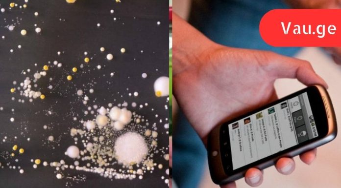 შოკისმომგვრელი სიმართლე იმის შესახებ, თუ რამდენ მიკრობს აგროვებს მობილური ტელეფონი!