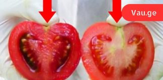 ყოველდღე ჩვენ ვჭამთ შხამს! აი, როგორ განვსაზღვროთ განსხვავება გენმოდიფიცირებულსა და ნატურალურ პომიდორს შორის.