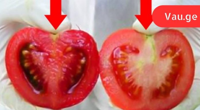 ყოველდღე ჩვენ ვჭამთ შხამს! აი, როგორ განვსაზღვროთ განსხვავება გენმოდიფიცირებულსა და ნატურალურ პომიდორს შორის.