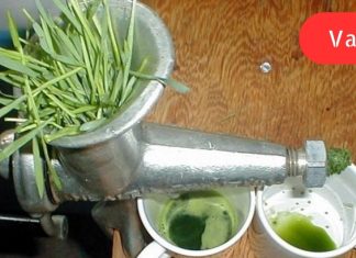 ის 80 წლისაა, მაგრამ მის თავზე არცერთ თეთრ თმას ვერ ნახავთ. საიდუმლო ამ სასმელშია!