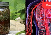 კამა, თაფლი და ვალერიანი! მხოლოდ 1 სუფრის კოვზი საოცრებას მოახდენს თქვენი სისხლძარღვებისთვის.