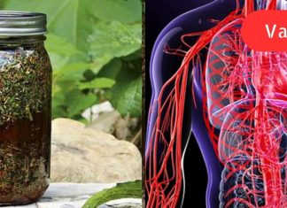 კამა, თაფლი და ვალერიანი! მხოლოდ 1 სუფრის კოვზი საოცრებას მოახდენს თქვენი სისხლძარღვებისთვის.