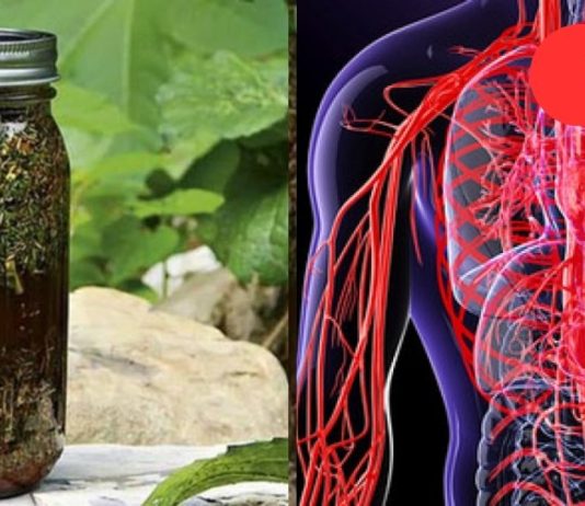 კამა, თაფლი და ვალერიანი! მხოლოდ 1 სუფრის კოვზი საოცრებას მოახდენს თქვენი სისხლძარღვებისთვის.