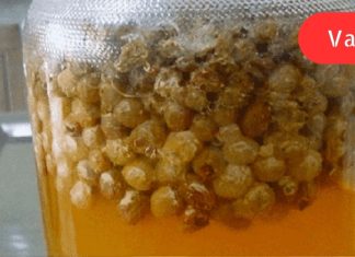 ღვიძლის ნაზი წმენდა 2 დღეში: ქიშმიში, წყალი და ეს ყველაფერი გვერდითი მოვლენების გარეშე!