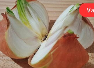 მან ხახვი დაჭრა 4 ნაწილად და გაანაწილა მთელ სახლში. ამის მიზეზი გასაოცარია!