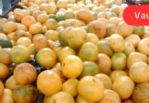 როგორ ავირჩიოთ კარგი მანდარინი: სურნელოვანი ხილის ფარული საფრთხეები.