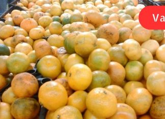 როგორ ავირჩიოთ კარგი მანდარინი: სურნელოვანი ხილის ფარული საფრთხეები.