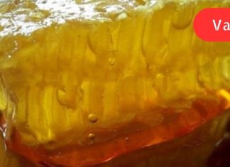 თაფლიანი წყალი ორგანიზმი სწრაფად და ბოლო წვეთამდე შეიწოვება: სარგებლიანობაზე საათობით შემიძლია ვისაუბრო