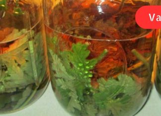 ხველის ბუნებრივი საშუალება: მხოლოდ 3 მარტივი ინგრედიენტისგან მოამზადებთ