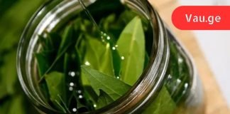 ასი დაავადების სასწაულმოქმედი საშუალება: დაფნის ზეთის წარმოუდგენელი თვისებები.