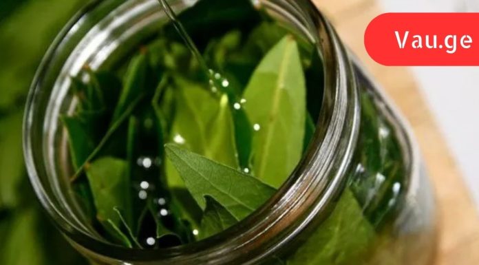 ასი დაავადების სასწაულმოქმედი საშუალება: დაფნის ზეთის წარმოუდგენელი თვისებები.