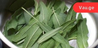 5 სანელებელი, რომელიც ანადგურებს ბაქტერიებს და აძლიერებს იმუნურ სისტემას.