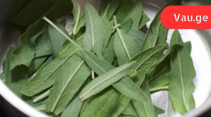 5 სანელებელი, რომელიც ანადგურებს ბაქტერიებს და აძლიერებს იმუნურ სისტემას.