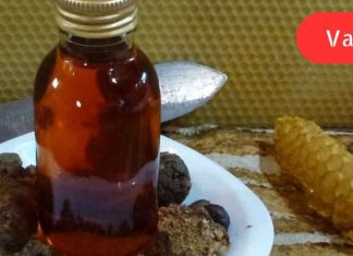 რას მკურნალობდნენ ჩვენი წინაპრები: პროპოლისის საოცარი თვისებები ჯანმრთელობისა და სილამაზისთვის.