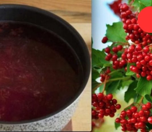 ჩემმა მეზობელმა სულ რაღაც 3 თვეში იმკურნალა ავადმყოფ გულზე.