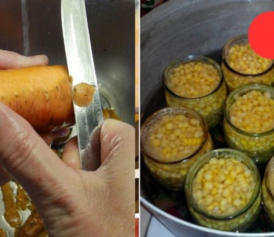 ღამე ჭამა ჩემი სუსტი წერტილია.10 პროდუქტი, რომელიც უვნებელია ფიგურისთვის. მათი ჭამა ღამითაც კი შეგიძლიათ!