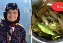 მეზობელმა ბებიაქალმა მასწავლა! დაფნის ფოთლების ჯადოსნური თვისებები, რომელთა შესახებ აარ ვიცოდი!