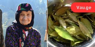 მეზობელმა ბებიაქალმა მასწავლა! დაფნის ფოთლების ჯადოსნური თვისებები, რომელთა შესახებ აარ ვიცოდი!