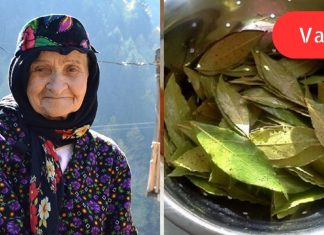 მეზობელმა ბებიაქალმა მასწავლა! დაფნის ფოთლების ჯადოსნური თვისებები, რომელთა შესახებ აარ ვიცოდი!