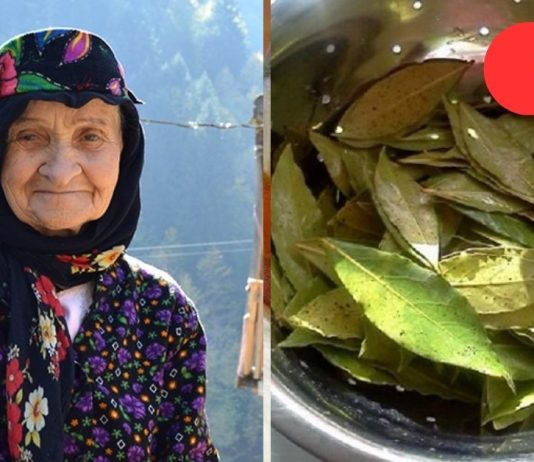 მეზობელმა ბებიაქალმა მასწავლა! დაფნის ფოთლების ჯადოსნური თვისებები, რომელთა შესახებ აარ ვიცოდი!