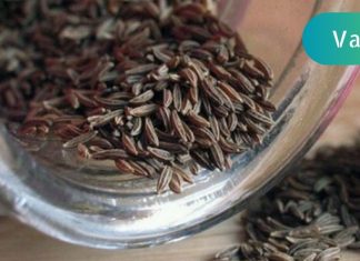 ყელისტკივილის აღარ მეშინია არცერთ სეზონზე