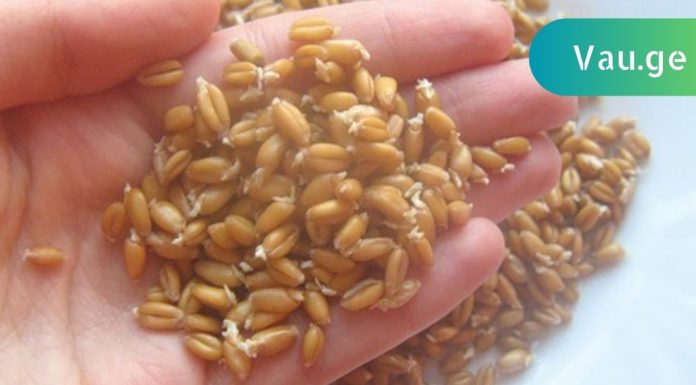 ამას ვერასოდეს დავიჯერებდი,მარცვლეული ჩვენი ჯანმრთელობის სადარაჯოზე ყოფილა.