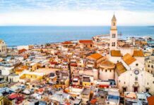 მანიფესტი ემიგრანტებისთვის – დავბრუნდეთ ბარიდან საქართველოში პირდაპირი ფრენით! bari