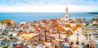 მანიფესტი ემიგრანტებისთვის – დავბრუნდეთ ბარიდან საქართველოში პირდაპირი ფრენით! bari